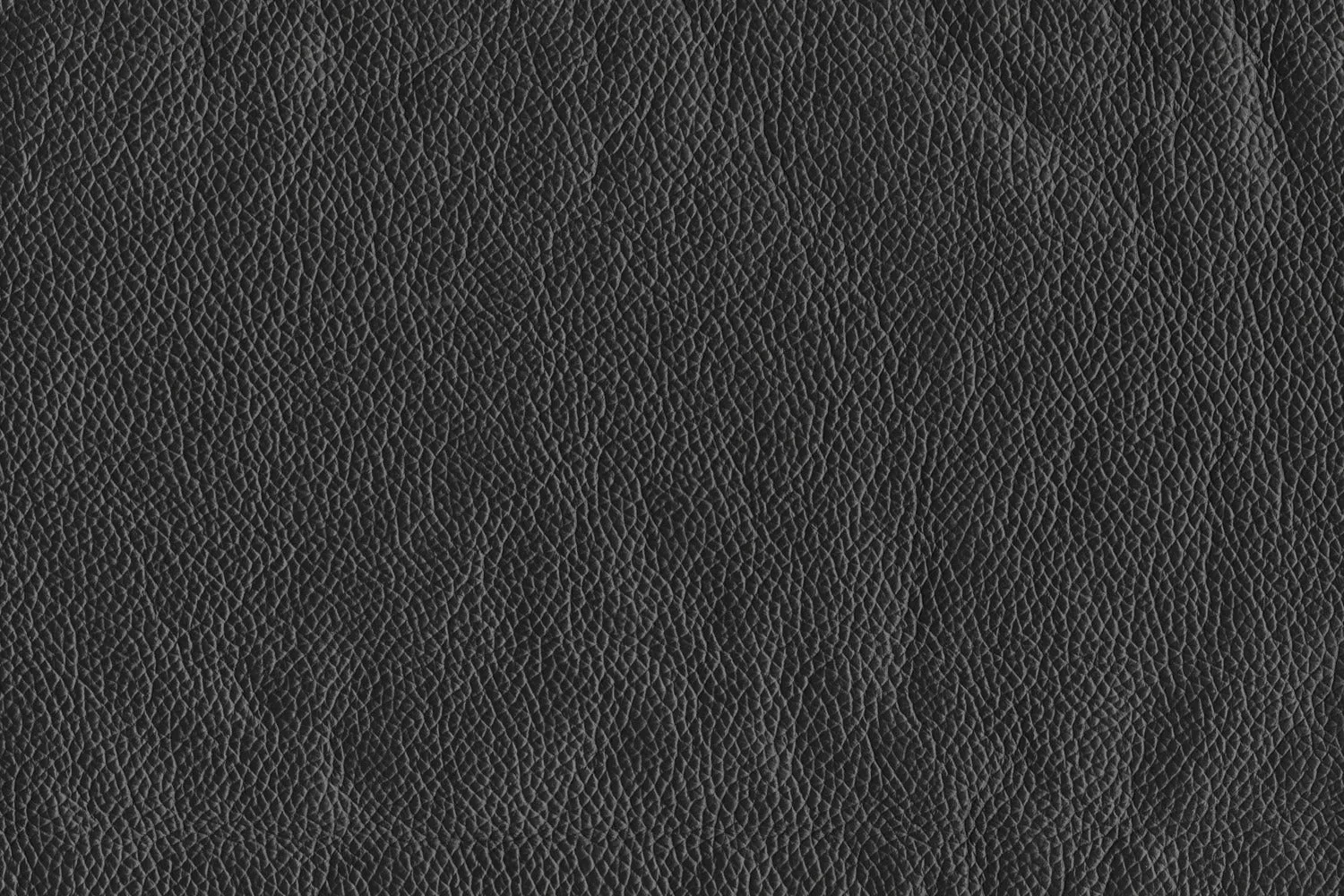 Braylon Leather Loveseat - Classic Black