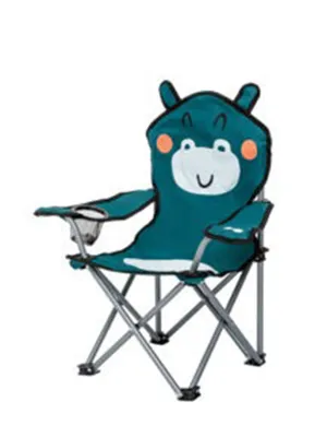 Camping Chair