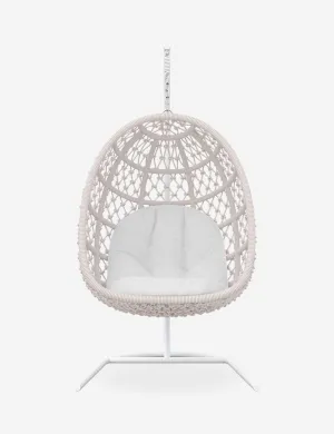 Gibbs Indoor / Outdoor Hanging Chair