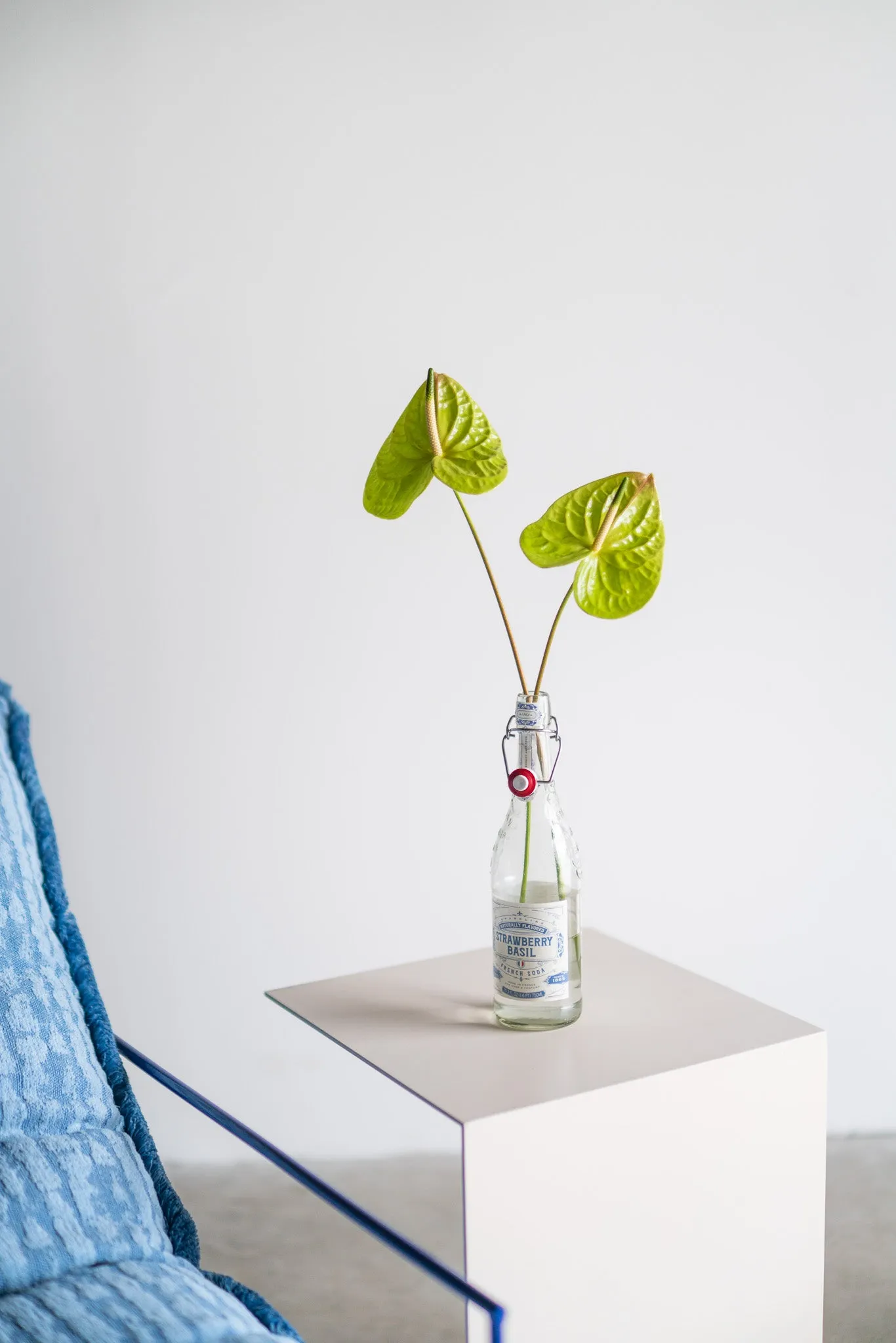 Sierra Chair x Noz Design | STOCK
